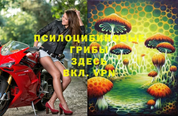 соль ск Белоозёрский