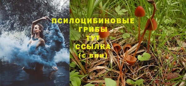соль ск Белоозёрский